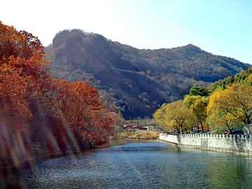 新澳天天开奖资料大全旅游团，奶吧杀菌机